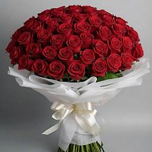 Букет 101 Красная роза Блэк Мэджик в Тирлянский