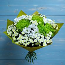 Букет цветов из:  Хризантемы #REPLACE_PRED# Тирлянский