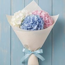 Букет цветов из:  Гортензия в Тирлянский