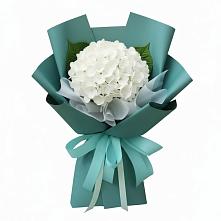 Букет цветов из:  Гортензия #REPLACE_PRED# Тирлянский